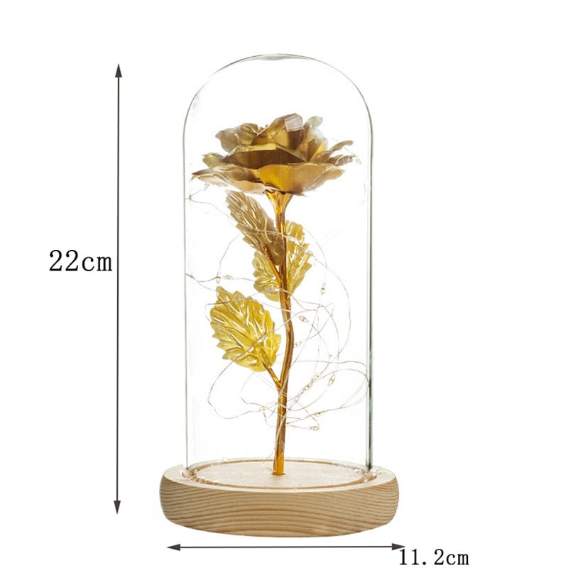 2021 Beauty and Beast Light Galaxy Rose Flower Glass Cover LED Battery Lamp Birthday Valentine's Day Gift For Mom Mother's Gift