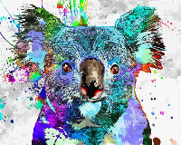 HUACAN DIY Oil Painting By Numbers Koala Animal Paint By Number Canvas Handpainted Kits Home Decoration